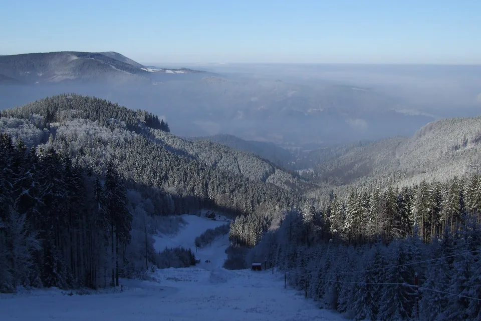 Lesy v Beskydech